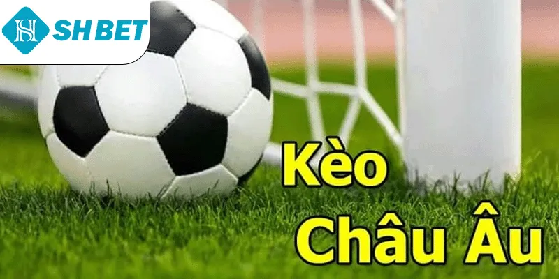 ảnh đại diện kèo châu Âu