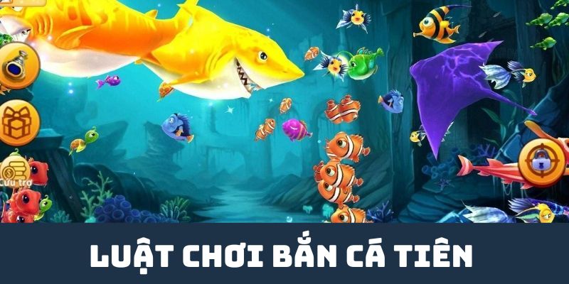 Luật chơi bắn cá tiên SHBET cơ bản phải nắm 