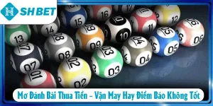 Mơ Đánh Bài Thua Tiền – Vận May Hay Điềm Báo Không Tốt